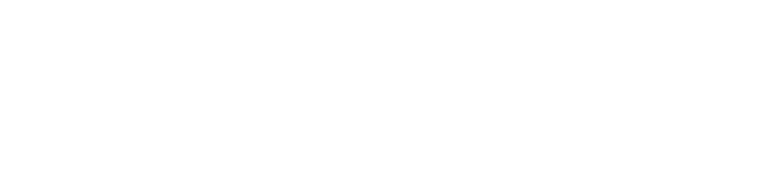 Showing Vision Studio